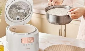 Rice Cooker Low Carbo, Alat Penanak Nasi Rendah Gula