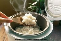 Rice Cooker Bau dan Penyebab Nasi Cepat Basi