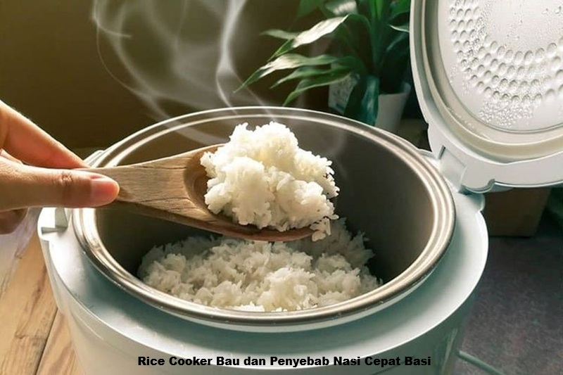 Rice Cooker Bau dan Penyebab Nasi Cepat Basi